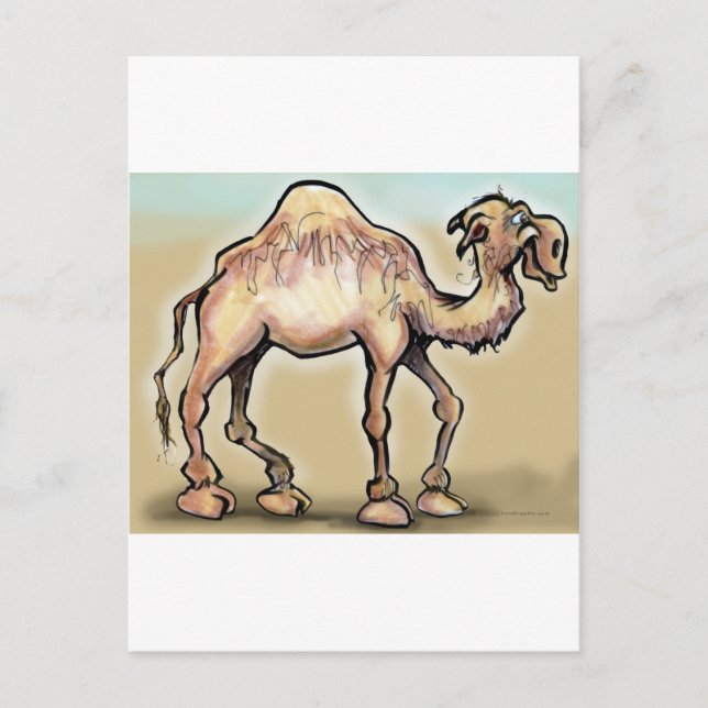 Cartão Postal Camel (Frente)