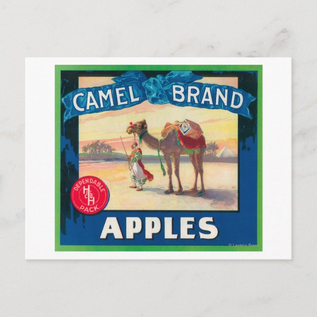 Cartão Postal Camel Apple Label - Estado de Washington (Frente)
