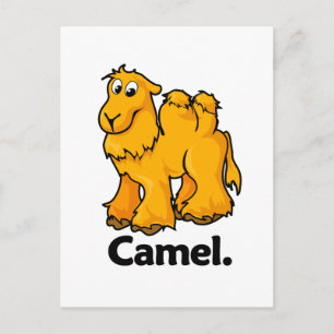 Cartão Postal Camel Camel.