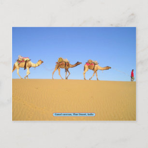 Cartão Postal Camel caravan, Thar Desert, Índia