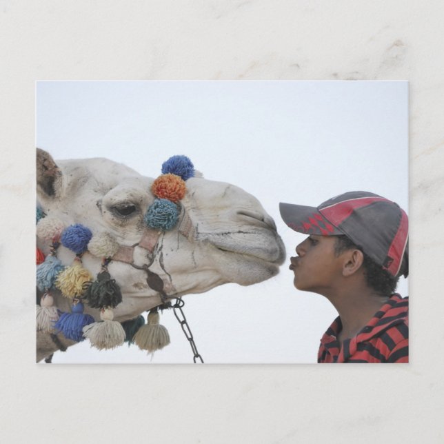 Cartão Postal Camel e rapaz (Frente)