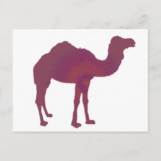 Cartão Postal Camel Prestige