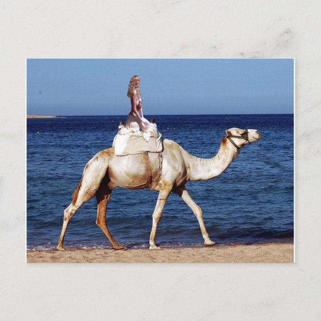 Cartão Postal Camel Rider pelo Mar (Frente)