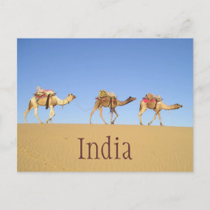 Cartão Postal Camel Train, Cartão-postal do deserto
