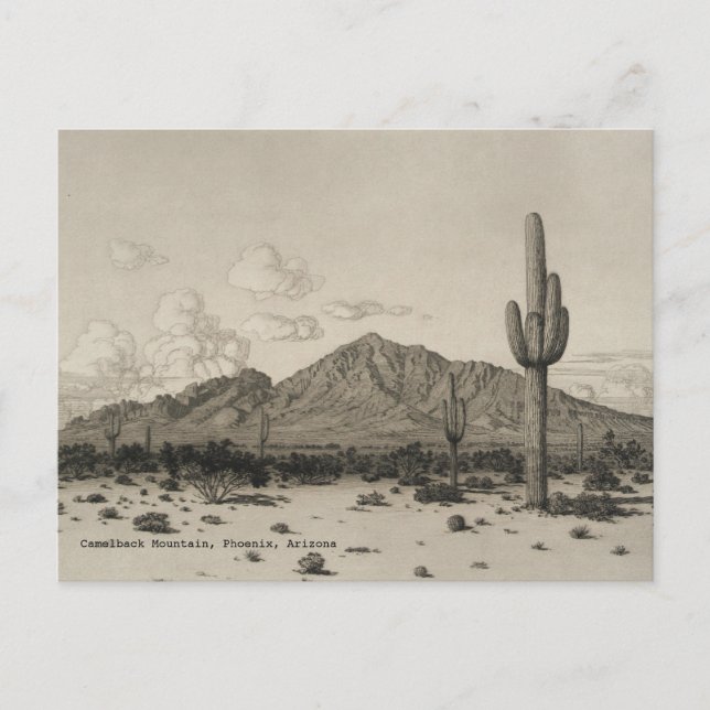 Cartão Postal Camelback Mountain Saguaro Cactus Black & White (Frente)
