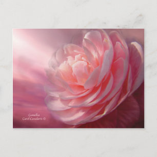 Cartão postal Camellia