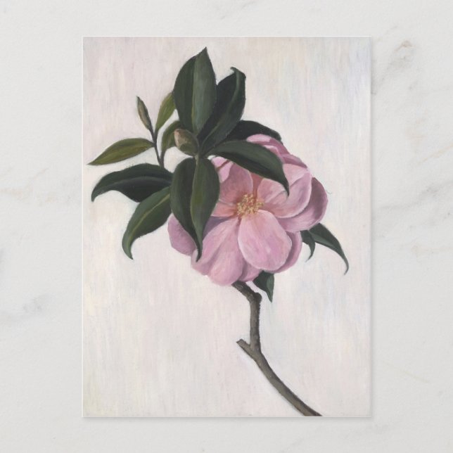 Cartão Postal Camellia 1998 (Frente)