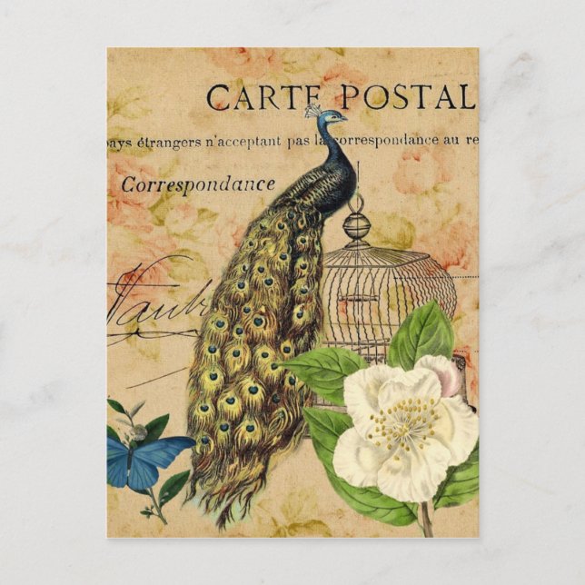 Cartão Postal camellia botânica francesa birdcage vintage pacioc (Frente)