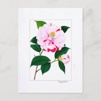 Cartão Postal Camellia Plate: Kayoidori