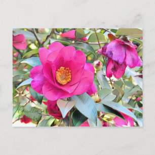 Cartão Postal Camellia sasanqua Kantsubaki [Cartão-postal]