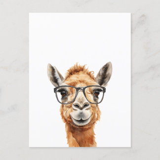 Cartão Postal Camelo bonito com óculos