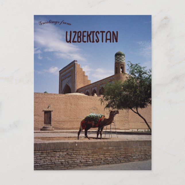 Cartão Postal Camelo em Khiva Uzbequistão (Frente)