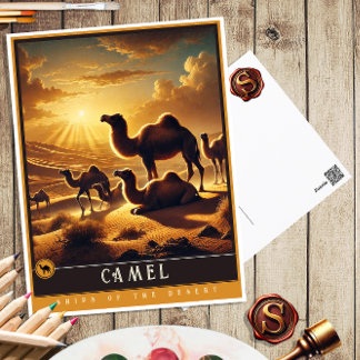 Cartão Postal Camelo | Família Fofa Postcard Antigo de Animal Vi