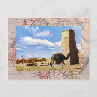 Cartão Postal Camelo para no deserto