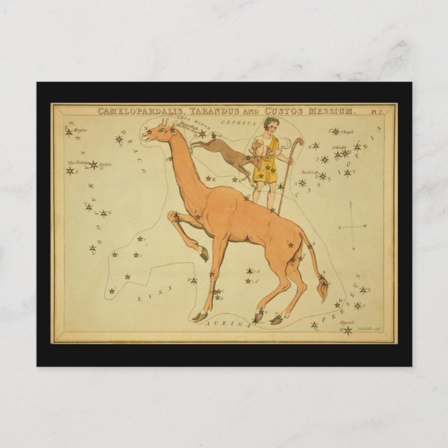 Cartão Postal Camelopardalis, Tarandus e Messium Aduaneiro (Frente)