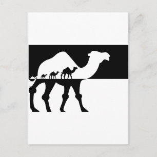 Cartão Postal Camelos