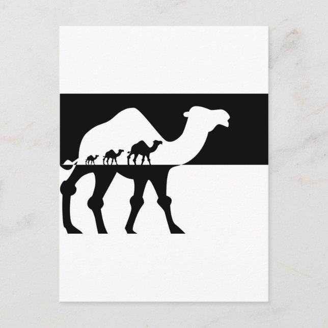 Cartão Postal Camelos (Frente)