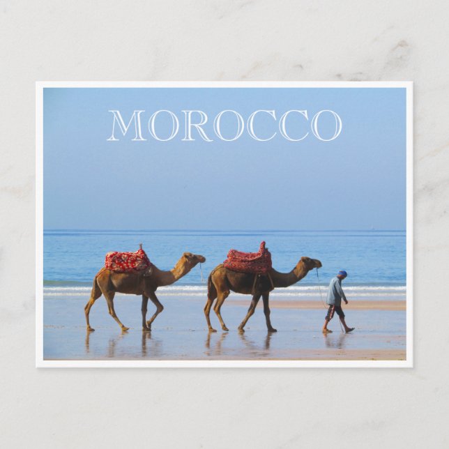 Cartão Postal camelos de praia de marrocos (Frente)