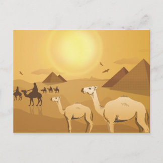 Cartão Postal Camelos do deserto egípcio