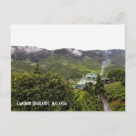 Cartão Postal Cameron Highlands tea plantation, Malásia