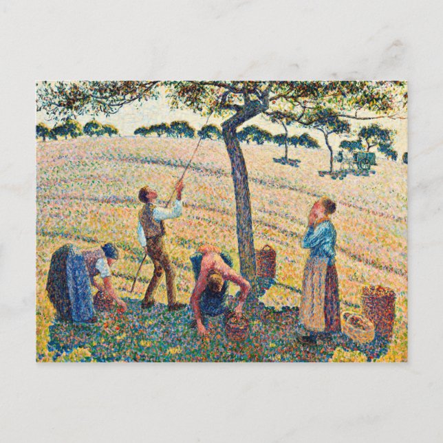 Cartão Postal Camille Pissarro - Colheita de Maçã (Frente)