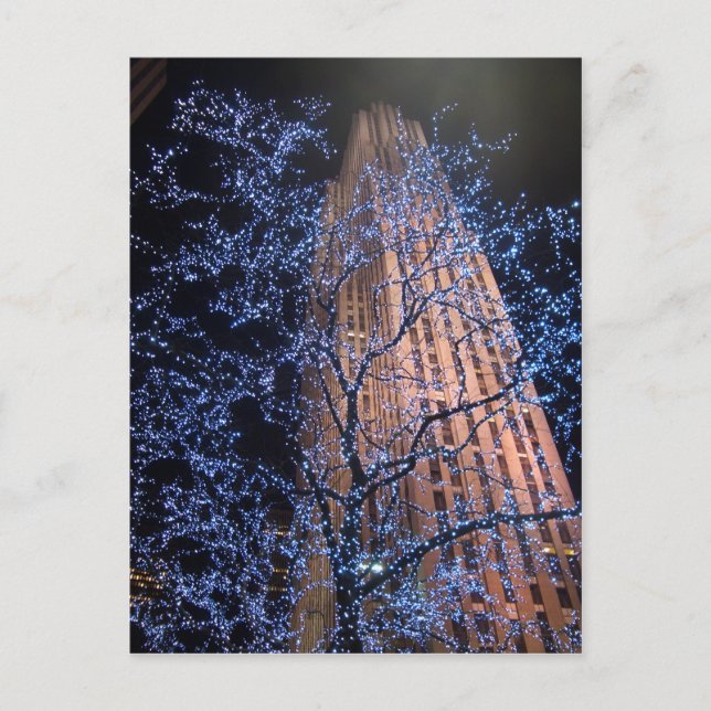 Cartão Postal Caminhada CricketDiane da noite da Nova Iorque (Frente)