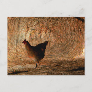 Cartão Postal "Caminhando" - Foto Digitalmente Melhorada Frango