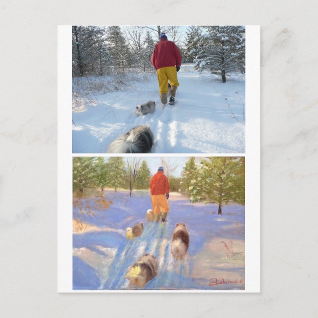 Cartão Postal Caminhando no Cartão-Postal da Floresta (Frente)