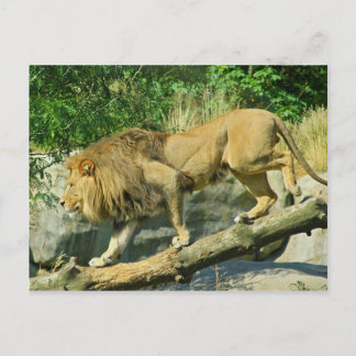 Cartão Postal Caminhando o Plank