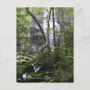 Cartão Postal Caminhante admira Falls Branch Falls