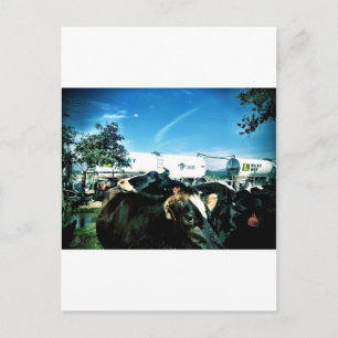 Cartão Postal caminhão de leite