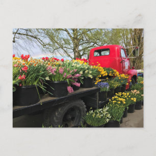 Cartão Postal Caminhão Vermelho com Flores de primavera e Arco-Í