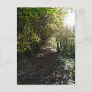 Cartão Postal "Caminhar por um Caminho da Terra do Woodland" Nor