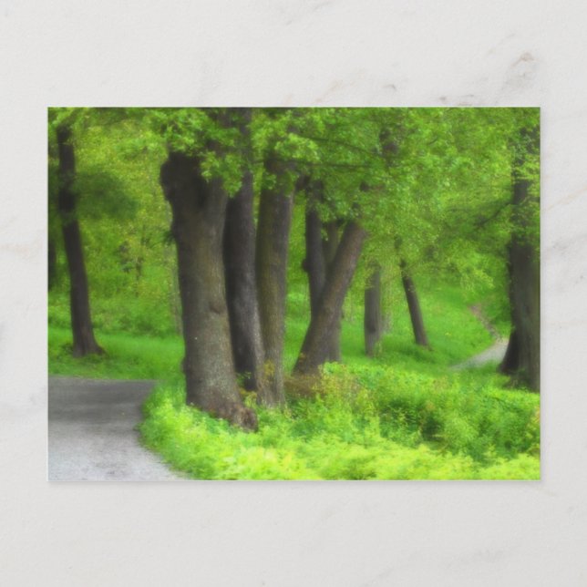 Cartão Postal Caminho (Frente)