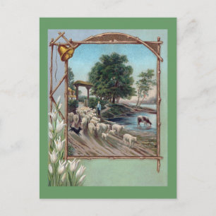 Cartão Postal Caminho Abaixo da Criação de Cachorros