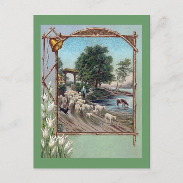 Cartão Postal Caminho Abaixo da Criação de Cachorros (Frente)