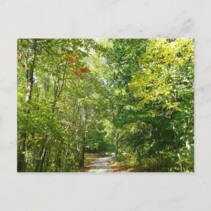 Cartão Postal Caminho Arborizado do Centenário I Ellicott City N