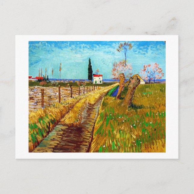 Cartão Postal Caminho através de um campo com Willows Van Gogh (Frente)
