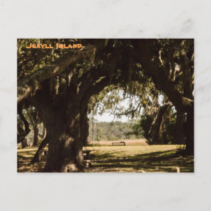 Cartão Postal Caminho da Ilha de Jekyll para o Marsh
