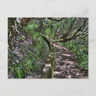 Cartão Postal Caminho da Madeira