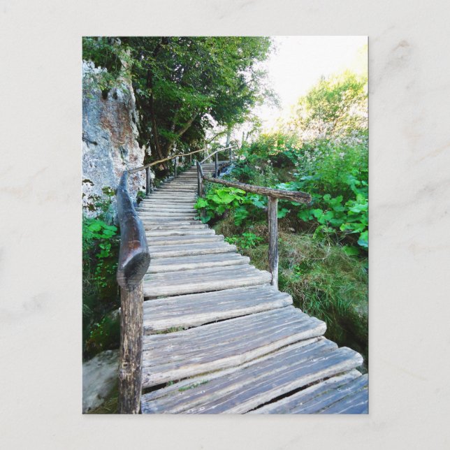 Cartão Postal caminho da natureza (Frente)