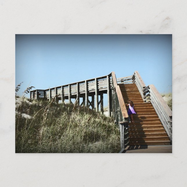 Cartão Postal Caminho de barco da Flórida, Costa do Golfo de Cap (Frente)