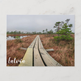 Cartão Postal Caminho de caminhada em pântano