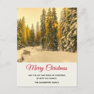 Cartão Postal Caminho de Inverno Nevado com Árvores de Natal