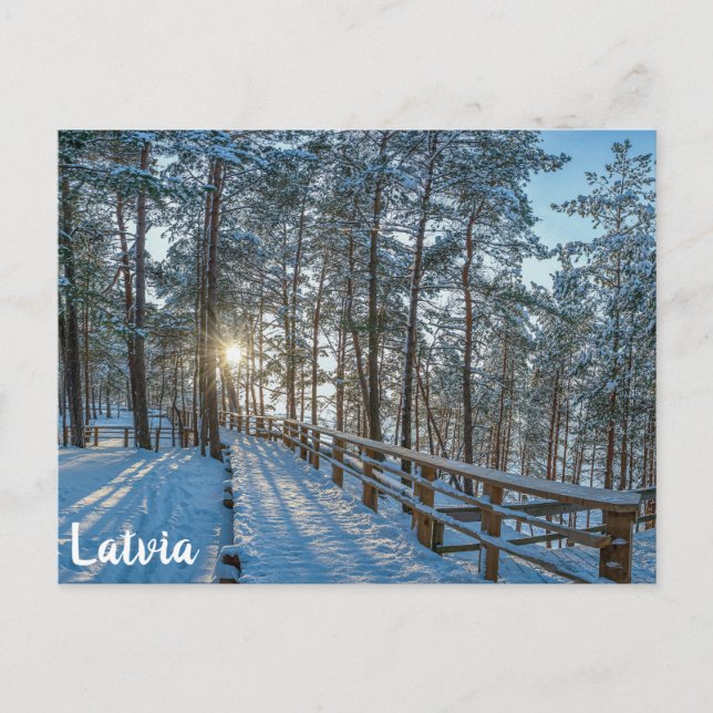 Cartão Postal Caminho de madeira através da floresta de inverno  (Frente)