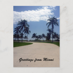 Cartão Postal caminho de Miami Palm