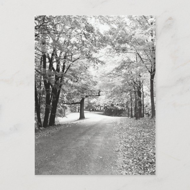 Cartão Postal Caminho de outono (Frente)