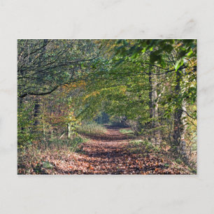 Cartão Postal Caminho de Outono Poynton Cheshire
