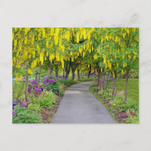 Cartão Postal Caminho de primavera de jardim bonito