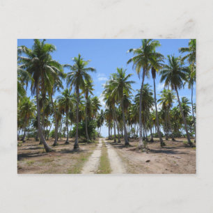 Cartão Postal Caminho de Rangiroa para o paraíso